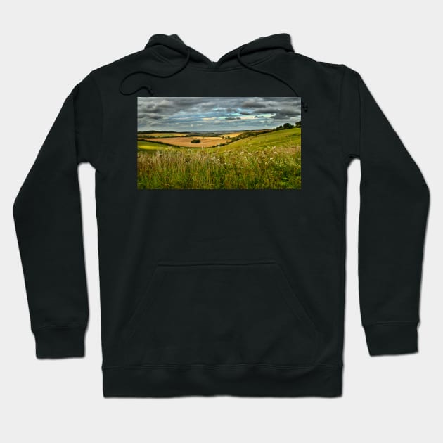 Summer Evening Near Aldworth in Berkshire Hoodie by IanWL